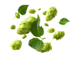 Floating green hops and leaves composition