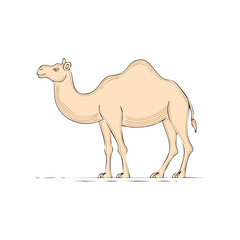 Fototapeta premium A cartoon illustration of a camel standing.