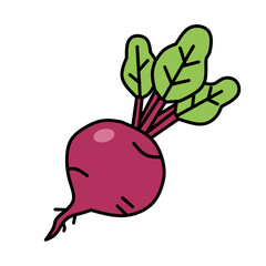 A single, stylized beetroot is centrally positioned against a plain white background. The beetroot itself is a vibrant, rounded shape, predominantly a deep magenta color, outlined with a thin black li