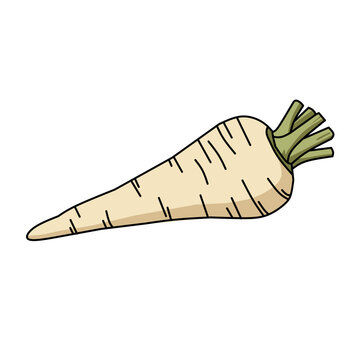 A single, stylized parsnip dominates the frame, lying diagonally from the upper right to the lower left. The parsnip is a creamy white color, subtly shaded with light tan, and tapers to a point at its