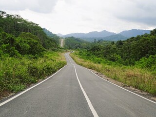 A winding road stretches peacefully through the lush trees of the Meratus Mountains.