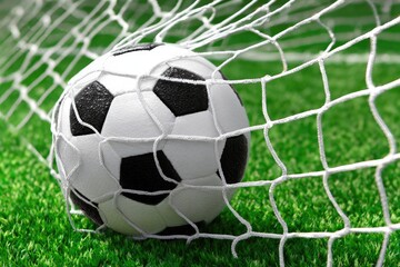 Soccer Ball In Net On Grass
