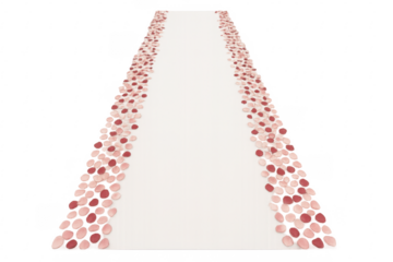 White wedding aisle decorated with pink and red rose petals on transparent background