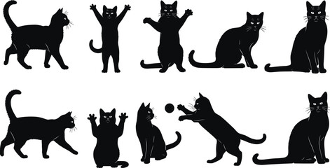 Black cat silhouette icons in various playful and sitting poses, isolated vector illustrations for pet design, UI, signage, and decoration