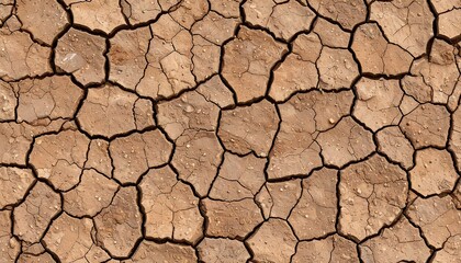 Close-up of parched earth with cracks forming a polygonal pattern due to extreme dryness and heat.