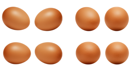 A collection of six brown eggs arranged in two rows isolated on white background showcasing smooth texture