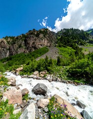 Mountain river flows through lush valley
