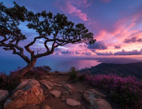 Dramatic sunset over a coastal mountaintop with a lone tree