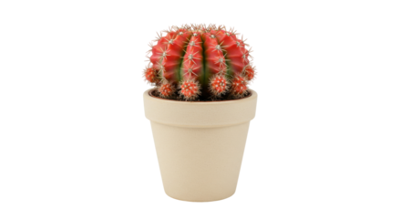 Vibrant cactus isolated on white background in a neutral pot showcasing its unique shape and colors