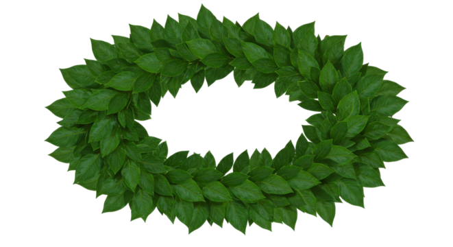 Circular green leaf wreath isolated on white background ideal for decorative use