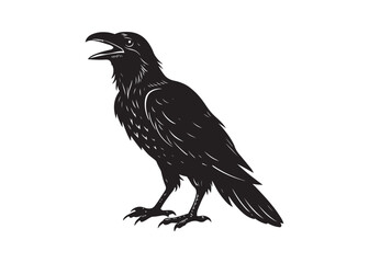 Raven Silhouette Vector Illustration Isolated on White Background.