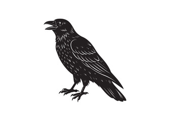 Raven Silhouette Vector Illustration Isolated on White Background.