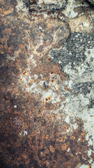 Vintage vertical corrugated steel wall with worn rust texture and peeling surface, capturing the essence of weathered decay and retro industrial style for design, mockup, or background use.