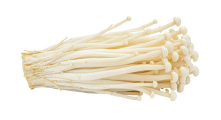 Fresh enoki mushrooms clustered together isolated on white background suitable for culinary use