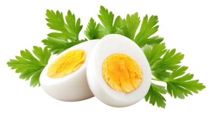 Boiled egg sliced into rings with fresh green parsley leaves for healthy meal