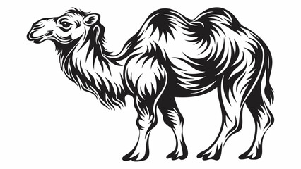 Stylized monochrome illustration of a camel standing with detailed fur and two humps on its back side view