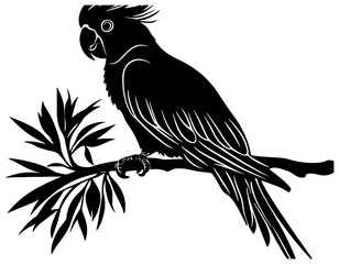 Cockatoo Silhouette with Crest Raised © safri