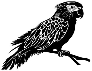 Silhouette of cockatoo bird 