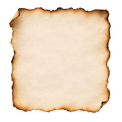 Torn Paper with Burnt Edges