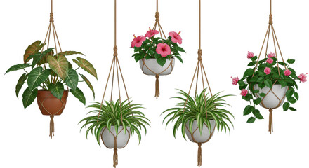 Colorful hanging planters with vibrant flowers isolated on white background