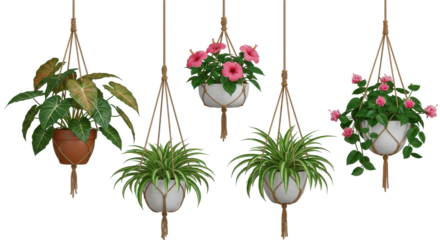 Colorful hanging planters with vibrant flowers isolated on white background