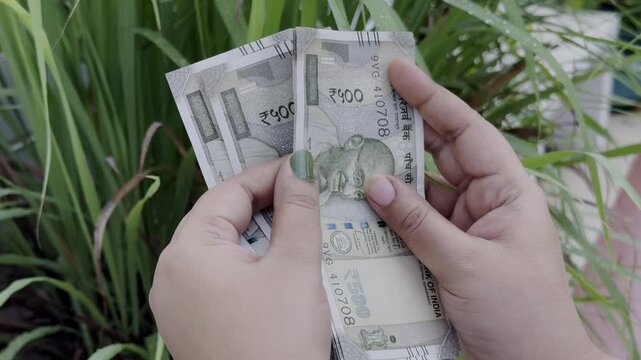closeup of a women's hand counting an 500 rupee note of indian currency in the farm