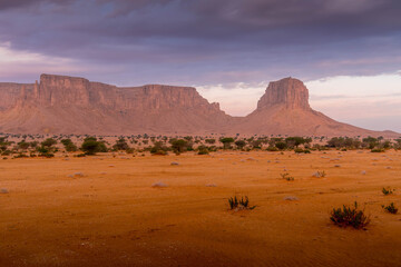 Vast Arabian desert landscape in Saudi Arabia, characterized by rugged sandstone formations and sparse vegetation under dramatic, cloudy skies.
