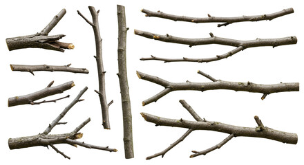 set of realistic branches
