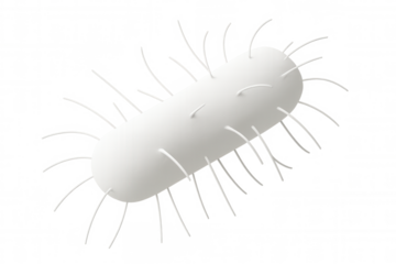 3d rendering of a white prokaryote bacteria with pili rotating on a transparent background, perfect for scientific or medical visualizations