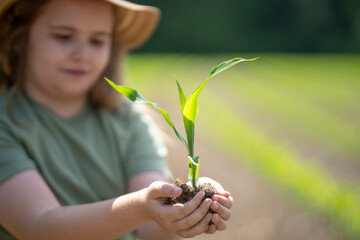 Child planting seed in soil. Kid holding corn sprout. Young boy farming in spring. Child hand with...