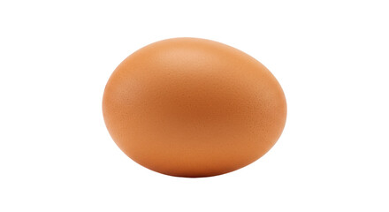 Fresh brown egg isolated on white background showcasing smooth surface and natural color