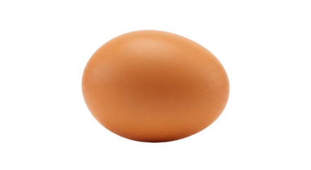 Fresh brown egg isolated on white background showcasing smooth surface and natural color