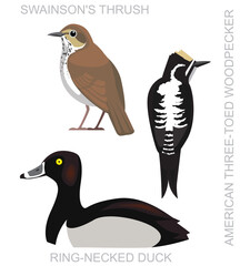 Bird Glacier Woodpecker Thrush Duck Set Cartoon Vector