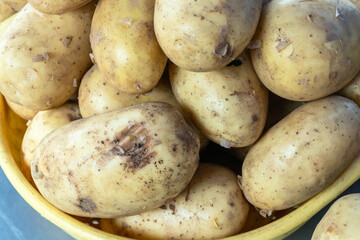 Abundant harvest of organic potatoes with earthy details symbolizing natural goodness and healthy eating. From farm to table rustic charm of unwashed potatoes ready for wholesome home cooked dishes.