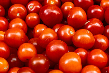 Simple descriptive title. Vibrant harvest of juicy red tomatoes in natural light representing...