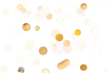 Bokeh dust overlay effect on transparent background