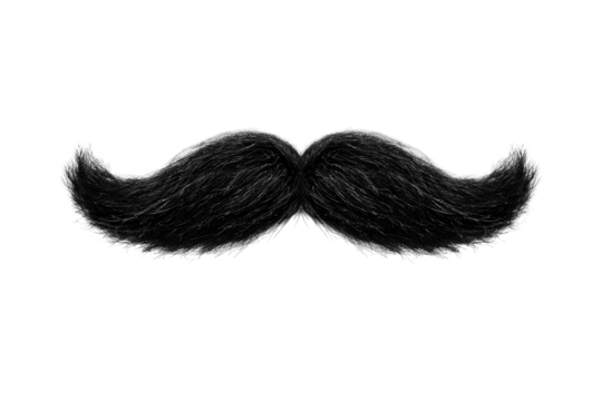 A full, dark-colored, stylized mustache