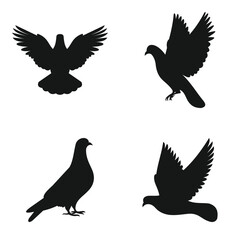 Pigeon Silhouette Vector Set