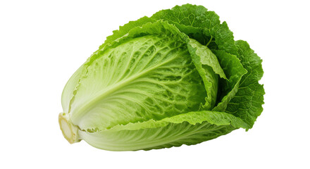 Fresh romaine lettuce head with vibrant green leaves isolated on white background