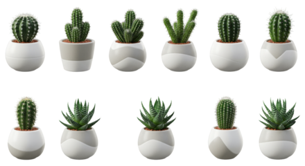 A collection of diverse potted cacti and succulents arranged in modern white pots isolated on white background