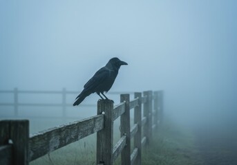 Mysterious Crow Perched on Fence in Dense Fog A Serene and Enigmatic Scene