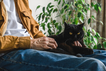 person sits comfortably on couch, petting black cat resting on their lap. room is filled with plants, creating warm and inviting atmosphere. close up.
