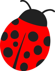 Obraz premium 무당벌레