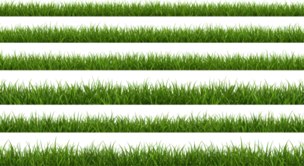 Lush green grass layers with varying heights against a dark background isolated on white background
