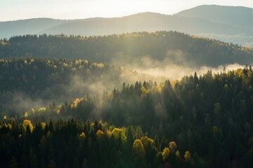 morning mist over the mountains