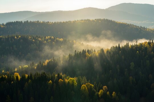 morning mist over the mountains