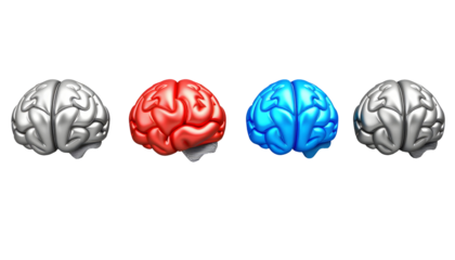 Four 3D Brains in Different Colors