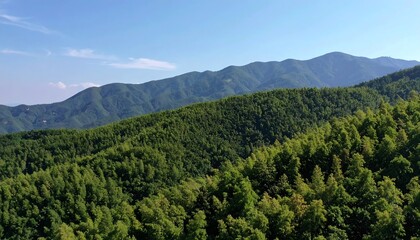 Fototapeta premium Panoramic view of lush mountain ranges