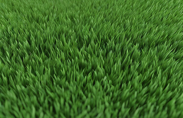 Obraz premium Natural Green Grass background for football field or green backdrop. Pasture, Sward, and Herbage Textures for Nature Posters, Wallpapers, Headers and Graphic Assets.