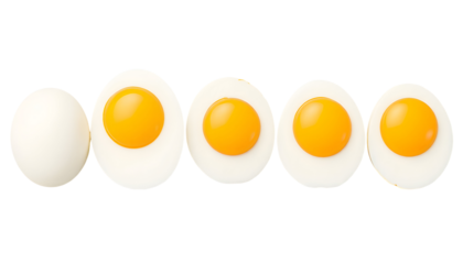 Boiled Eggs Whole and Sliced Displaying Egg Yolks and Whites